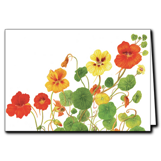 Nasturtium garden greeting card showcasing vibrant blooms, blank inside and ideal for nature lovers