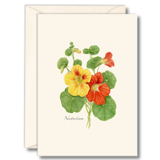 Nasturtium notecard inspired by vibrant garden blooms, printed on recycled and recyclable paper