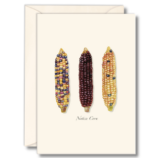 Native corn notecard inspired by agricultural heritage