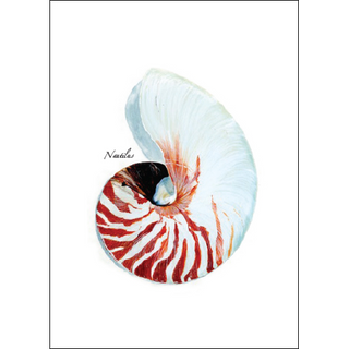 Nautilus greeting card highlighting elegant ocean forms, blank inside and nature-inspired