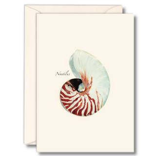 Nautilus notecard highlighting natural spiral beauty