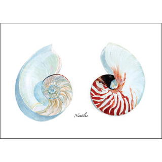 Nautilus pair greeting card with balanced shell detail, blank inside and recyclable