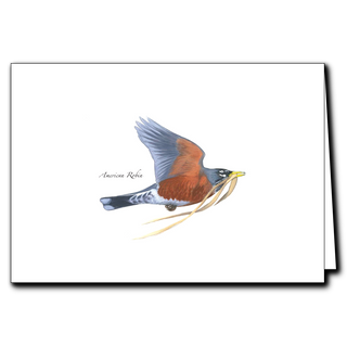 Nest-making robin greeting card celebrating springtime birds, blank inside and eco-friendly