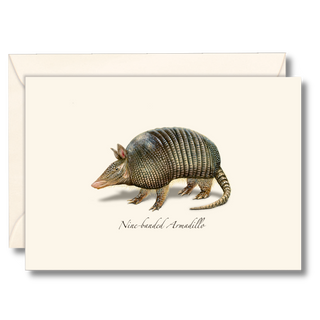 Nine-banded armadillo notecard highlighting a unique native mammal, made in the USA