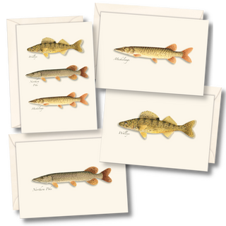 Gamefish notecard assortment featuring northern freshwater species