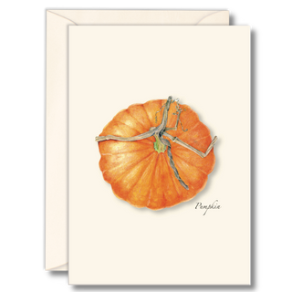 Orange pumpkin notecard celebrating autumn harvest season