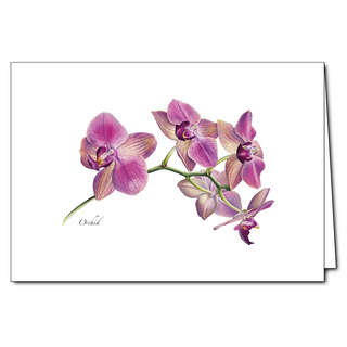 Orchid greeting card highlighting elegant tropical blooms