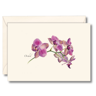 Orchid notecard showcasing an elegant botanical illustration, made in the USA