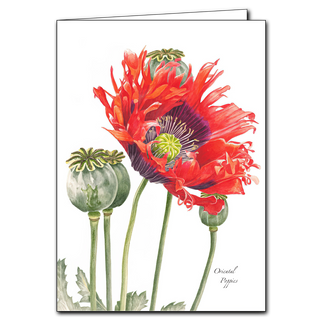 Oriental poppies greeting card with bold floral details, blank inside and lovely for any occasion