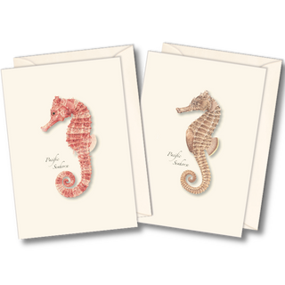 Seahorse notecard assortment inspired by Pacific marine life