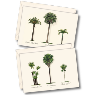 Palm notecard assortment inspired by tropical landscapes