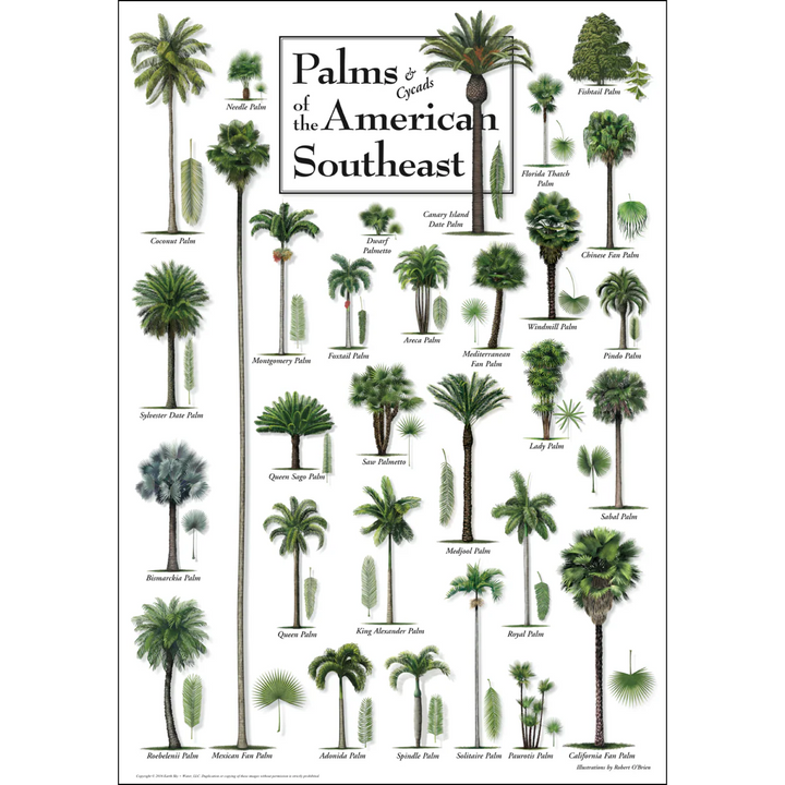 Gulf Coast, Texas Posters