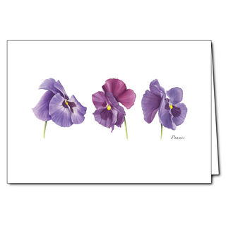 Pansies greeting card with cheerful garden color