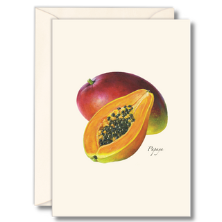 Papaya notecard inspired by tropical fruit and warm climates