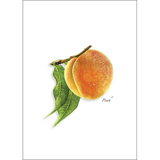 Peach greeting card celebrating ripe orchard fruit, blank inside and gift-ready