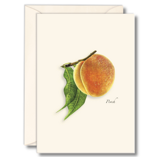 Peach notecard inspired by ripe orchard fruit