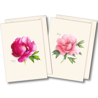 Peony assortment notecards showcasing lush spring flowers, packaged in a recyclable box