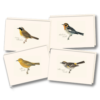 Warbler notecard assortment highlighting colorful songbirds