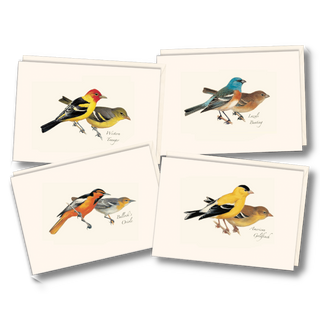 Western bird notecard assortment inspired by Peterson guides