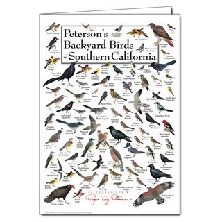 Southern California backyard birds greeting card celebrating local species