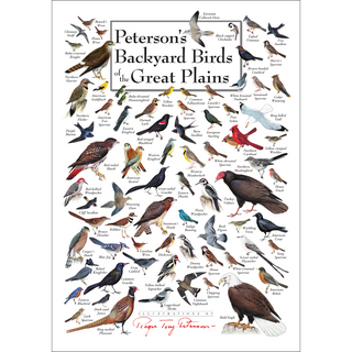 Vibrant Peterson's Backyard Birds of the Great Plains Poster, proudly made in the USA for hobbyist naturalists.