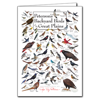 Peterson's Backyard Birds of the Great Plains card. Made in the USA. Species info on back