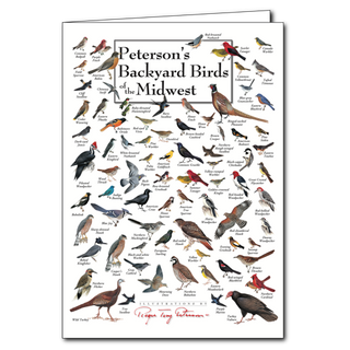 Midwest backyard birds greeting card highlighting common species, blank inside