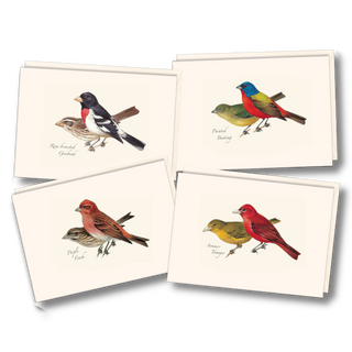 Bird notecard assortment featuring diverse species