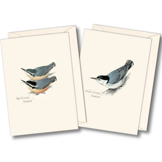 Bird notecard assortment inspired by Peterson illustrations