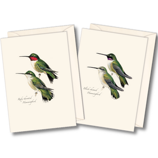 Hummingbird notecard assortment inspired by Peterson guides