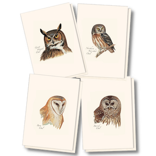 Owl notecard assortment inspired by Peterson field guides