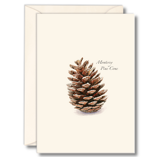 Pine cone notecard highlighting natural woodland textures, printed on recyclable paper