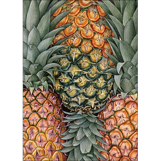 Pineapples greeting card with a bright tropical feel, blank inside for cheerful notes