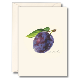 Plum notecard highlighting rich color and orchard fruit