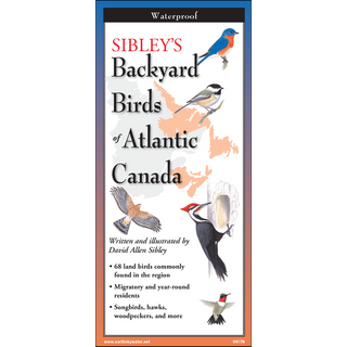 Pocket field guide highlighting backyard bird species of Atlantic Canada.