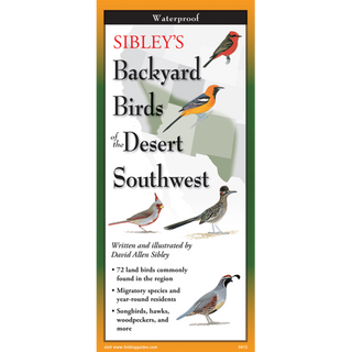 Adventure-ready laminated guide featuring backyard birds of the Desert Southwest.