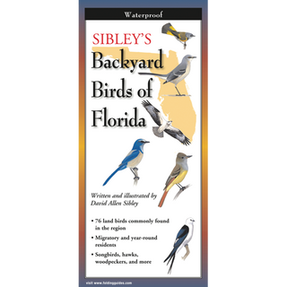 Durable waterproof guide featuring backyard birds of Florida’s diverse ecosystems.
