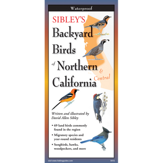 Lightweight waterproof guide illustrating backyard birds of Northern and Central California.