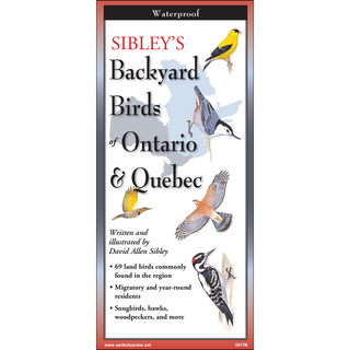 Portable field guide featuring beautifully illustrated backyard birds of Ontario and Quebec.
