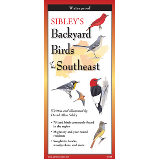Pocket field guide featuring backyard birds found throughout the Southeast.
