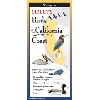 Pocket field guide featuring beautifully illustrated birds of the California Coast.