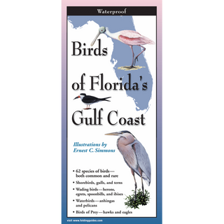 Pocket-sized laminated guide highlighting coastal birds of Florida’s Gulf Coast.