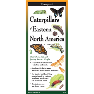 Pocket-sized laminated guide showcasing caterpillars of Eastern North America.