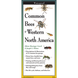 Lightweight folding guide highlighting common bee species of Western North America.