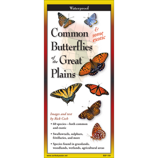 Lightweight laminated guide showcasing butterflies native to the Great Plains.