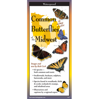 Durable pocket guide showcasing common butterfly species found across the Midwest.