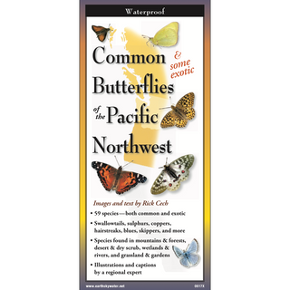 Pocket-sized laminated guide featuring illustrated butterflies of the Pacific Northwest.