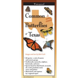 Portable pocket guide featuring common butterflies native to Texas.