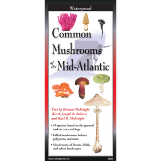 Compact pocket field guide highlighting common mushroom species native to the Mid-Atlantic region.