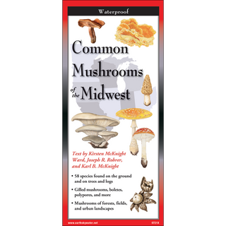 Pocket field guide highlighting illustrated common mushrooms found across the Midwest.